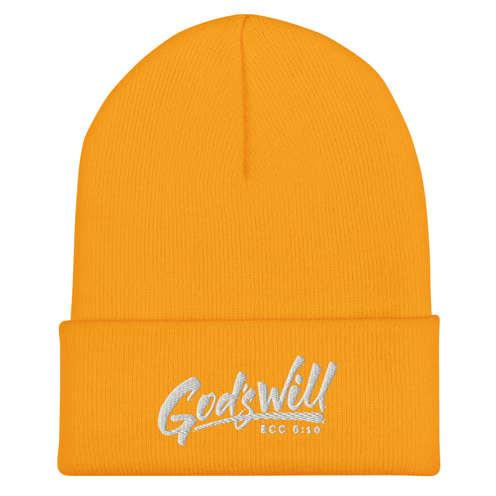 Cuffed Beanie